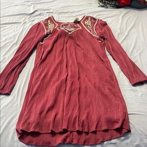 Blue Rain Embroidered Mini Dress